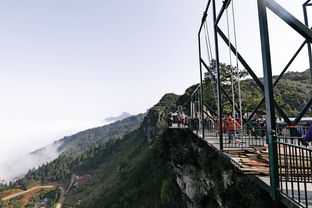 美丽的奥陶纪晶花池