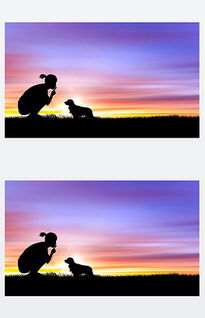 夕阳下的丛林剪影