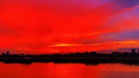 男子运营“青蛙钓场”年入百万的秘密