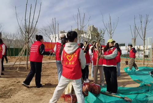 社区居民义务植树