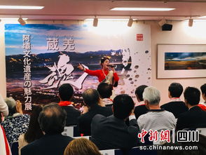 文化交流活动现场