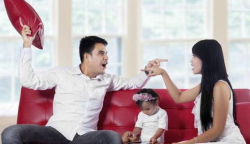 小明剑魔向老婆道歉：家庭矛盾背后的故事