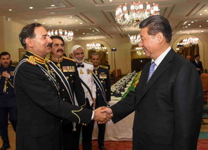 王毅对巴铁表达三个支持，中巴关系再升温！