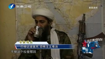 恐怖主义相关图片示例