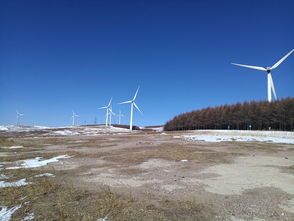 远处连绵的山丘