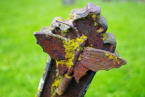 神秘符号的墓碑