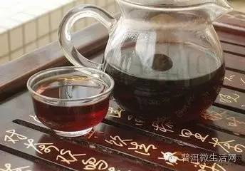 普洱茶茶园风光