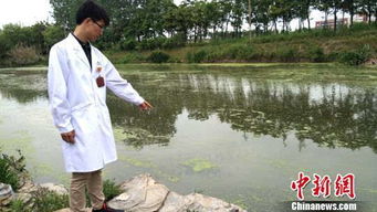 女子赤脚踏入晶花池