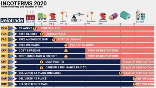 贸易战逼出外贸女老板的第二次创业