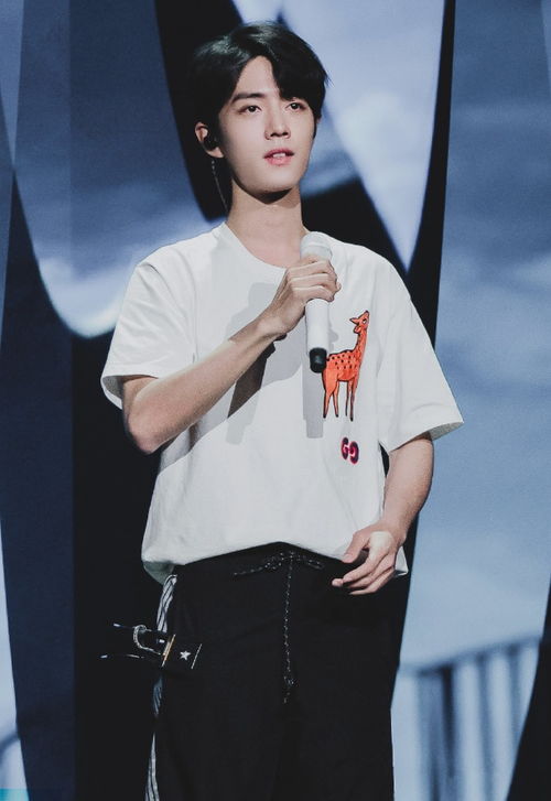 孙燕姿回应肖战：一场偶像与粉丝的双向奔赴