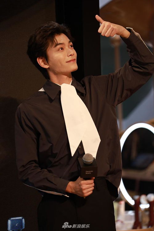 丁禹兮出席活动照片