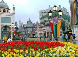 外资为何盯上中国的“快乐经济”？