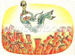 白泽在比赛胜利后的庆祝瞬间