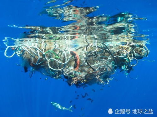 特朗普的造谣与中国的回应：真相如何？