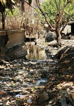 巴基斯坦向中国发出两大请求，背后真相令人深思