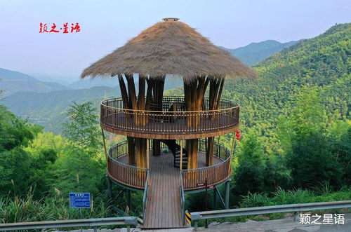 我承认对淮水竹亭太大声了：一场关于爱与包容的心灵对话