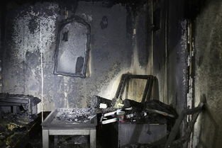 焚烧现场模拟图