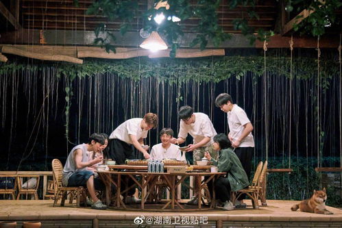 何老师在《向往的生活》中享受田园时光