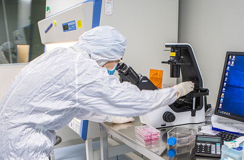 实验室中的基因编辑设备