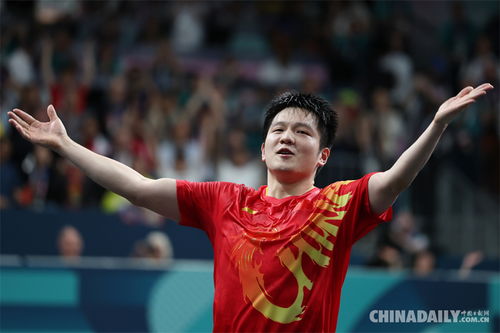 樊振东庆祝胜利