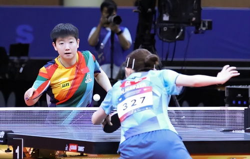 王曼昱现身表彰大会：荣耀背后的故事