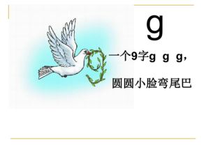 一只飞翔的白鸽