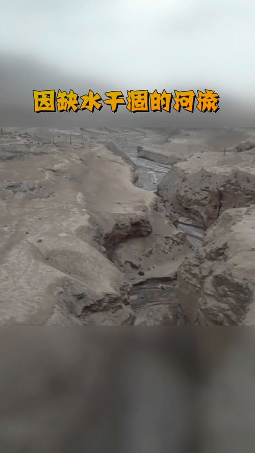 印度断巴基斯坦水源：一场可能的灾难性博弈