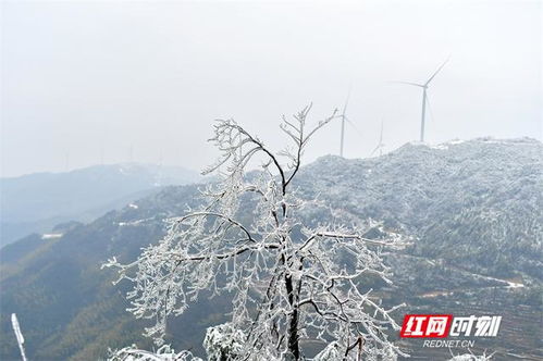 雪中忆故人：王维《冬晚对雪忆胡居士家》的诗意与心境