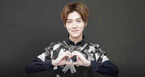 鹿晗正定伴手礼爆火！粉丝狂抢，背后竟藏着这些细节？