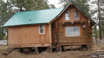 醒来我成了飞天蝙蝠柯镇恶：一场穿越江湖的奇幻旅程