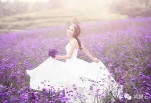 夕阳下的女孩站在花海中微笑