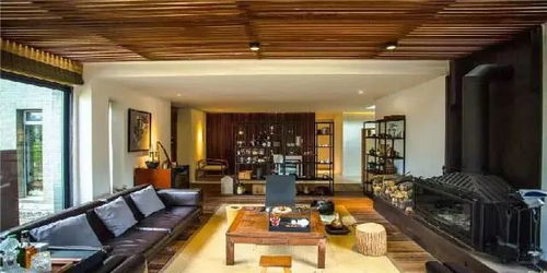 宅家随手拍｜记录生活里的每一帧小确幸