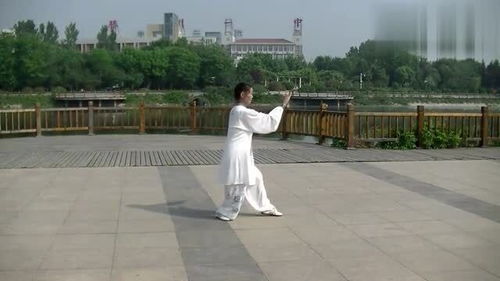 青年在公园晨练武术动作