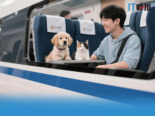 国外宠物乘坐高铁场景