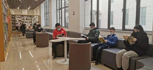 学生在图书馆独自学习