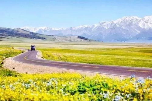 伊犁创业者何磊在田野间拍摄短片