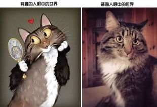 马斯克的 DOGE：效率神话还是隐私噩梦？