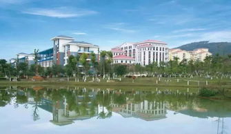 桂林理工通报引热议，网友直呼真相扑朔迷离