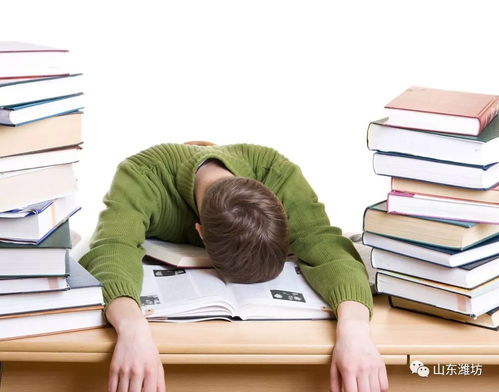 清华教授爆热搜！将来可能实现每周上三休四？我亲测这生活模式太香了