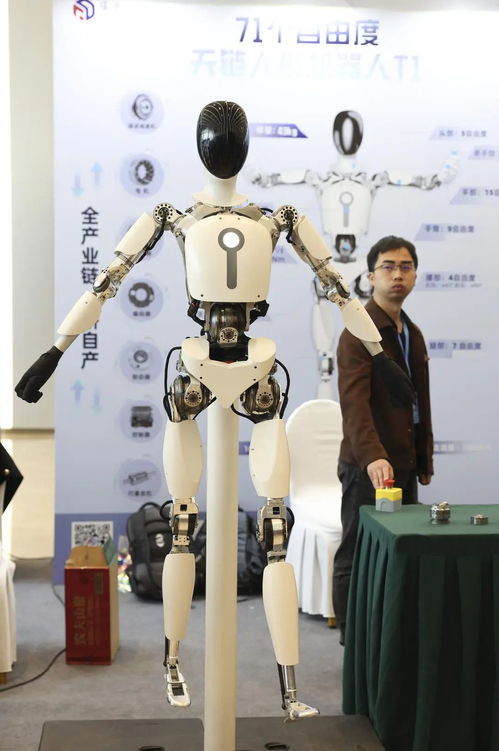 人形机器人在展览会上展示