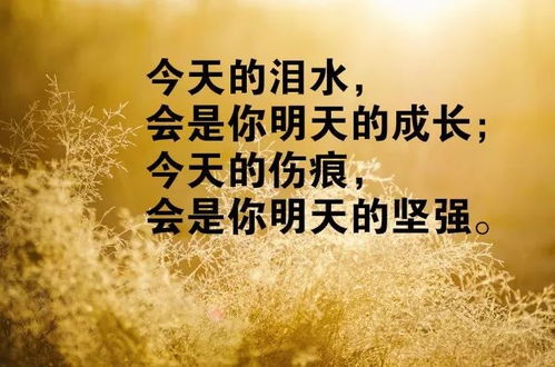 鼓励话语：坚持就是胜利