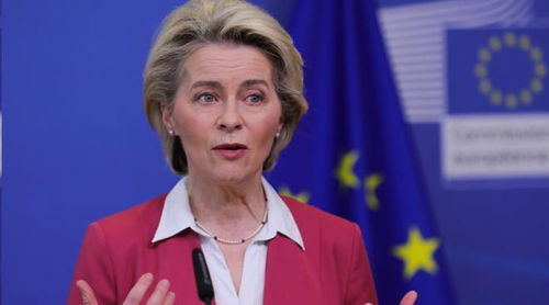 冯德莱恩辞职风波背后的欧盟政治迷局