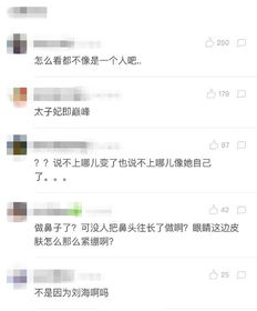 刘海石投案网友评论截图