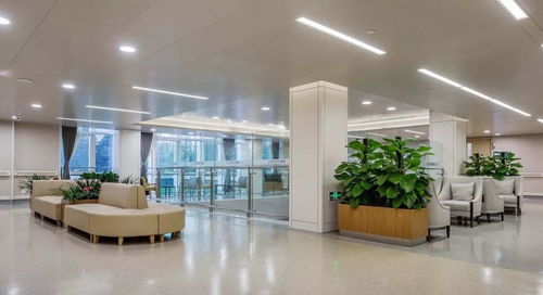 肖飞被开除，董袭莹问题何时查？中日友好医院回应引热议