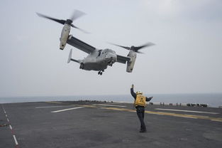 俄国防部发布朝鲜军人作战画面，国际局势再掀波澜