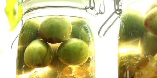 阳光下的青梅酒