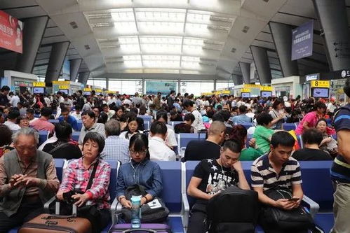 五一假期文旅市场热度攀升，我亲历的旅行热潮与趋势观察