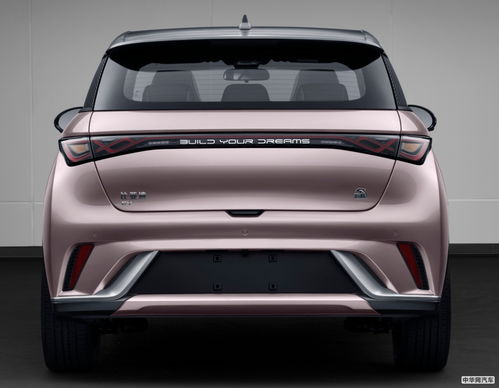 迪拜街头比亚迪电动车