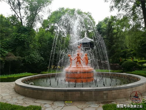 沈阳赏花节现场