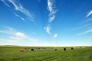 五一主线任务抵达旷野：一场与自然的深度对话